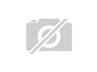 Eingefügtes Bild